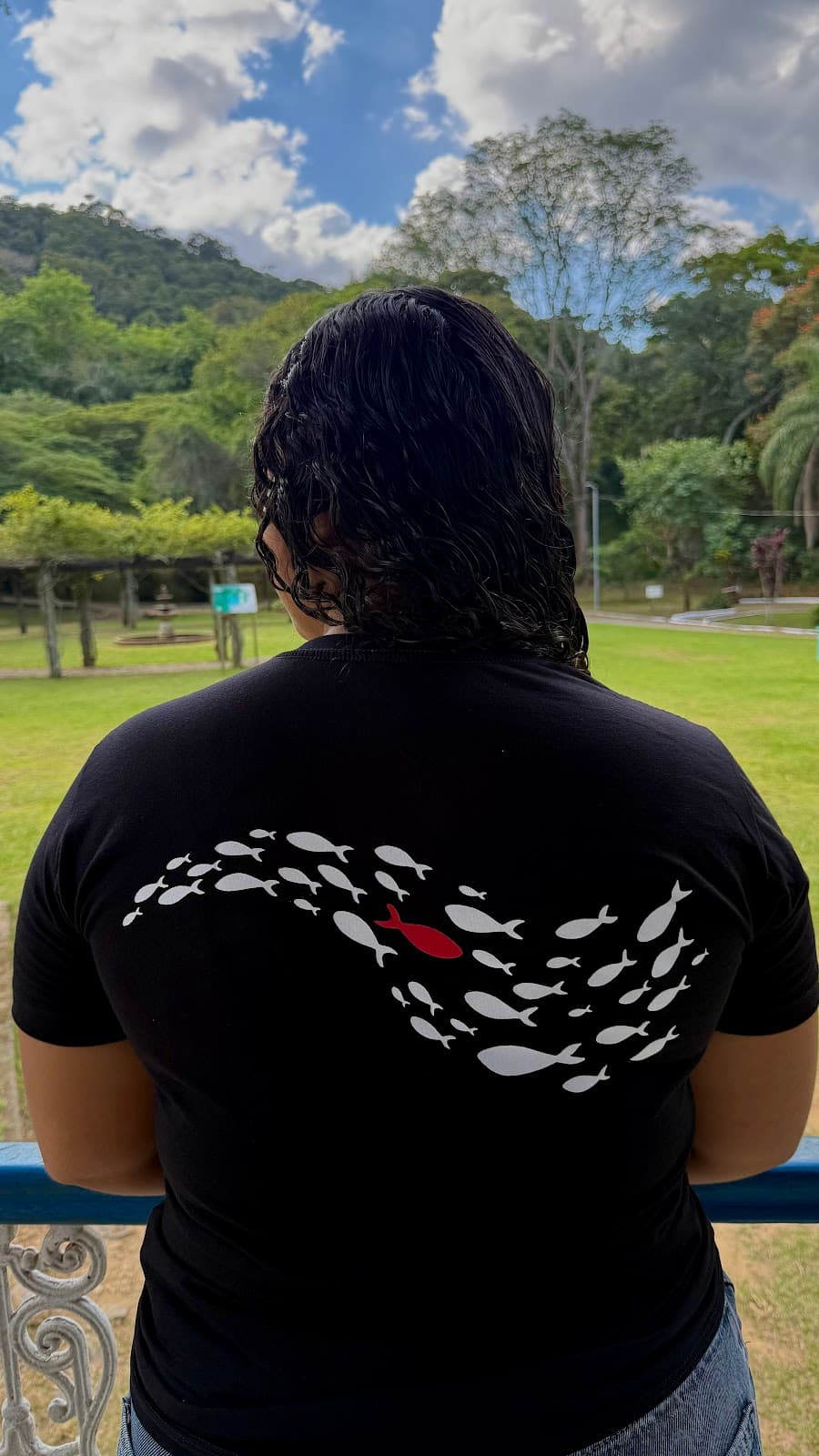 Camiseta Renovado — back